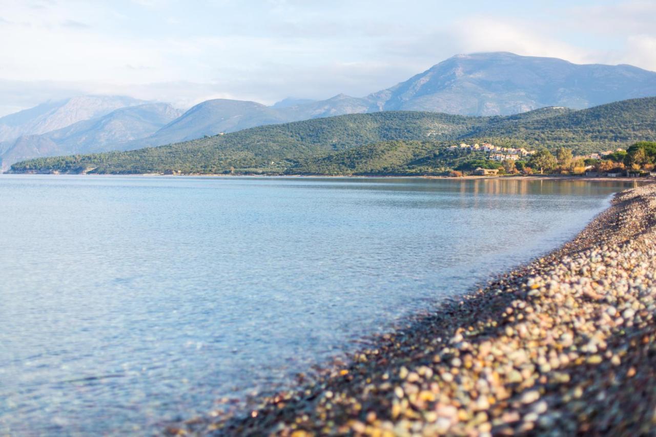 Hotel Les Galets แซ็งต์-โฟลร็องต์ ภายนอก รูปภาพ
